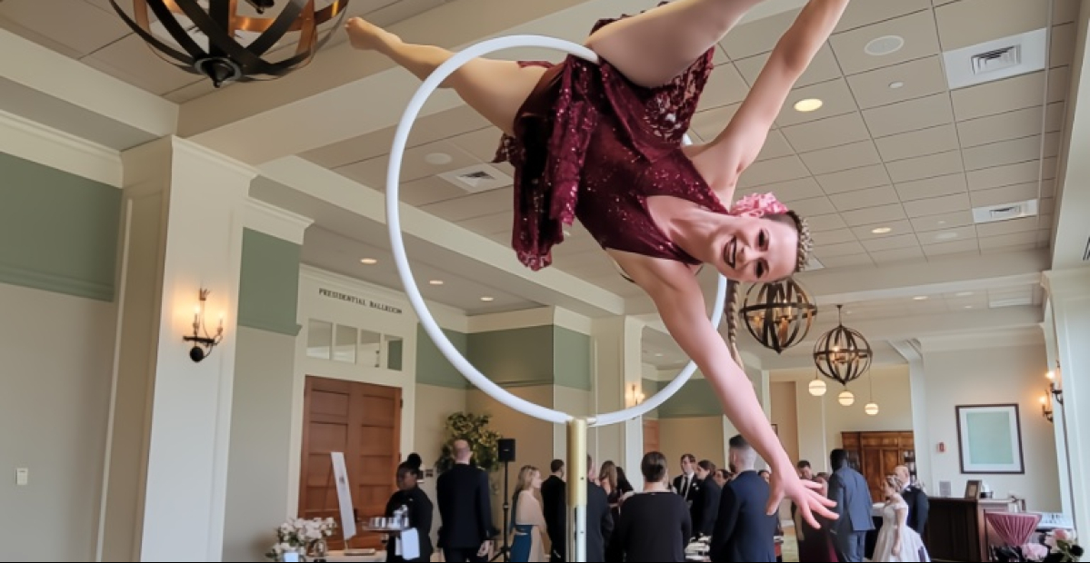 AERIAL HOOP