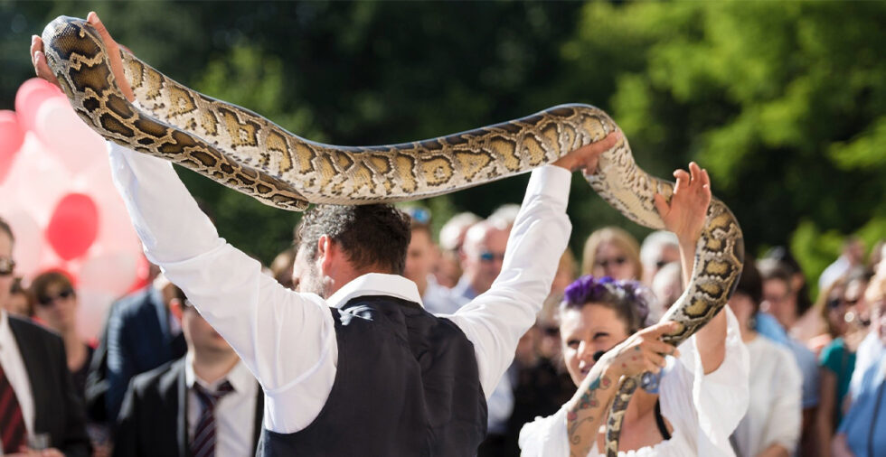 SNAKE CHARMER